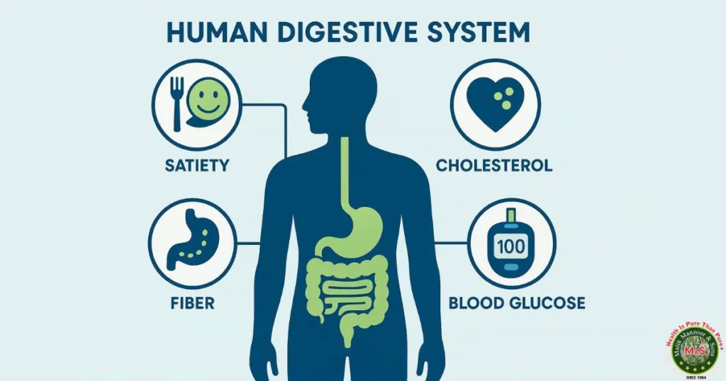 Isabgol Husk Powder with Senna: Science Backed