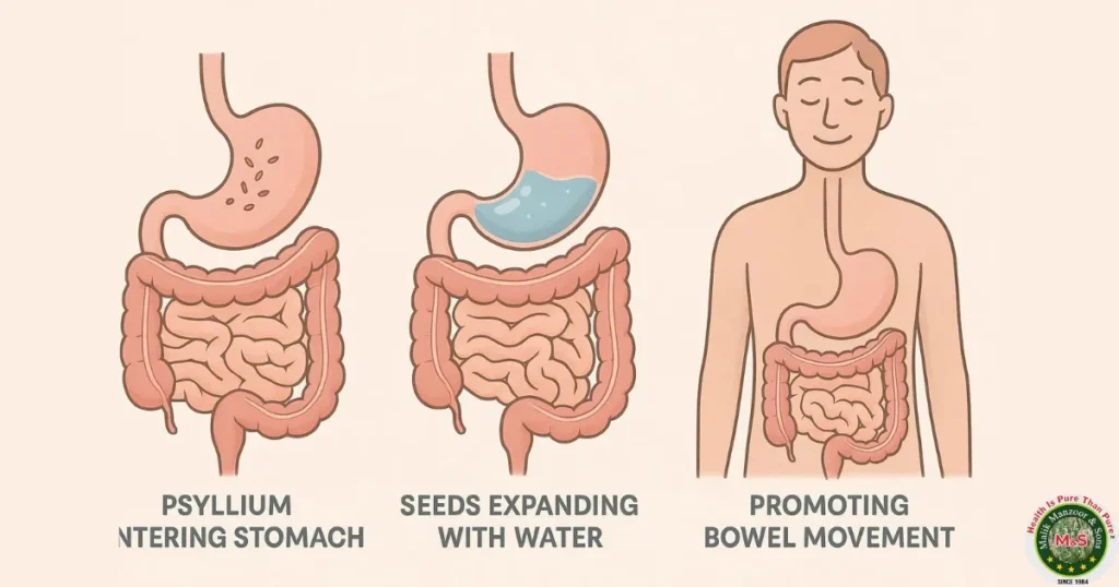Psyllium Seeds Benefits: Digestive Health.
