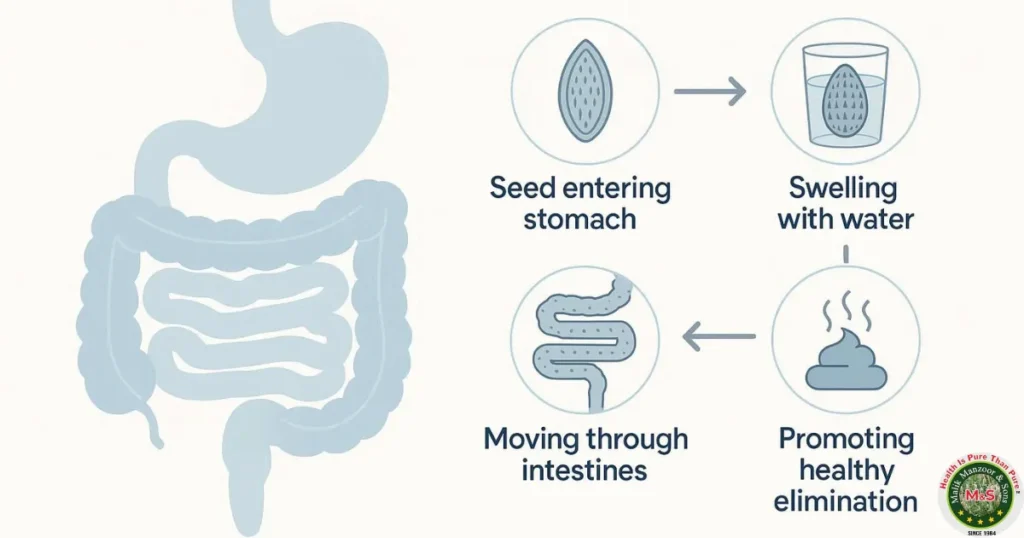 Sabit Isabgol as Digestive Tonic