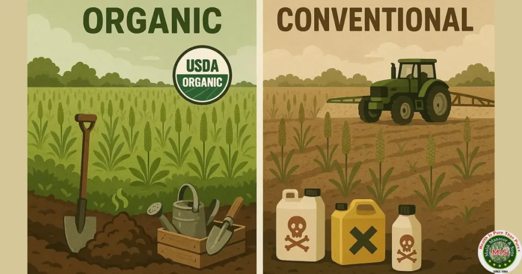 Organic psyllium husk powder: Organic vs Conventional