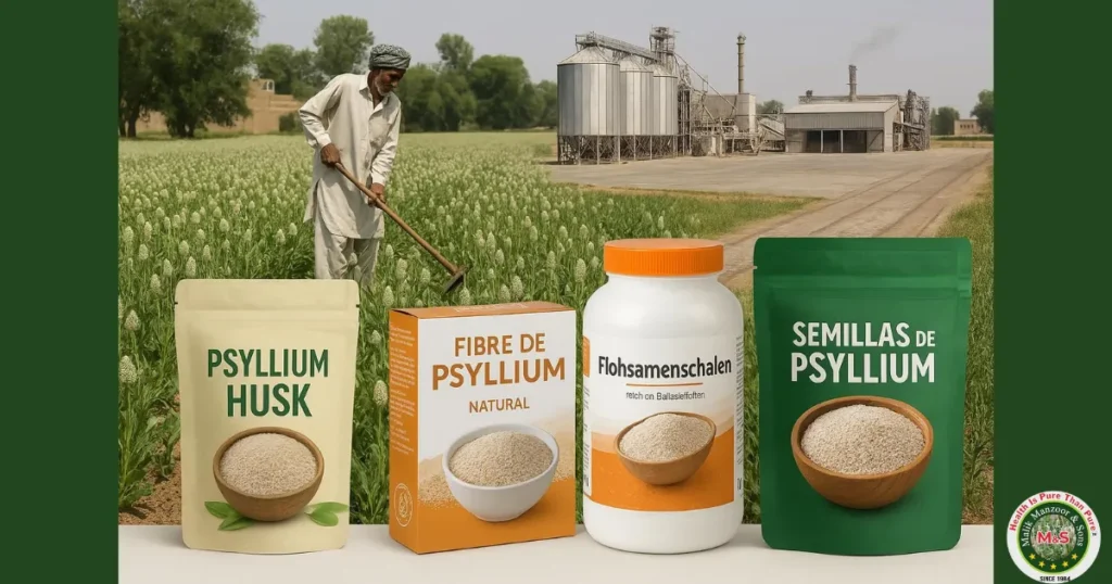 Isabgol in English: The Global Market