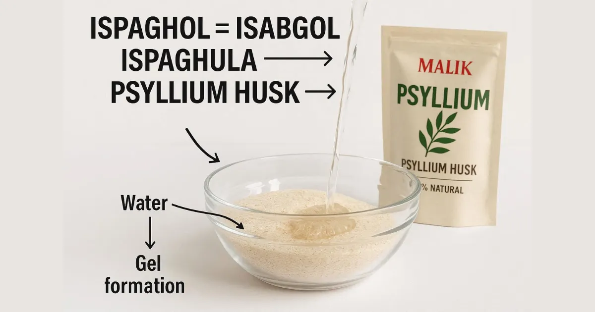 Ispaghol Husk in English