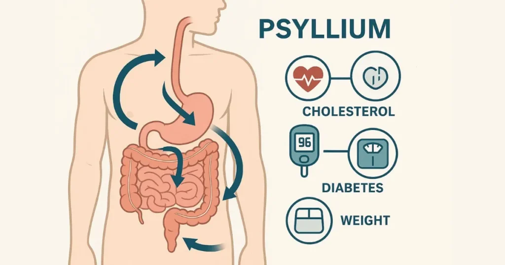 Psyllium Husk Urdu: Comprehensive Health Benefits