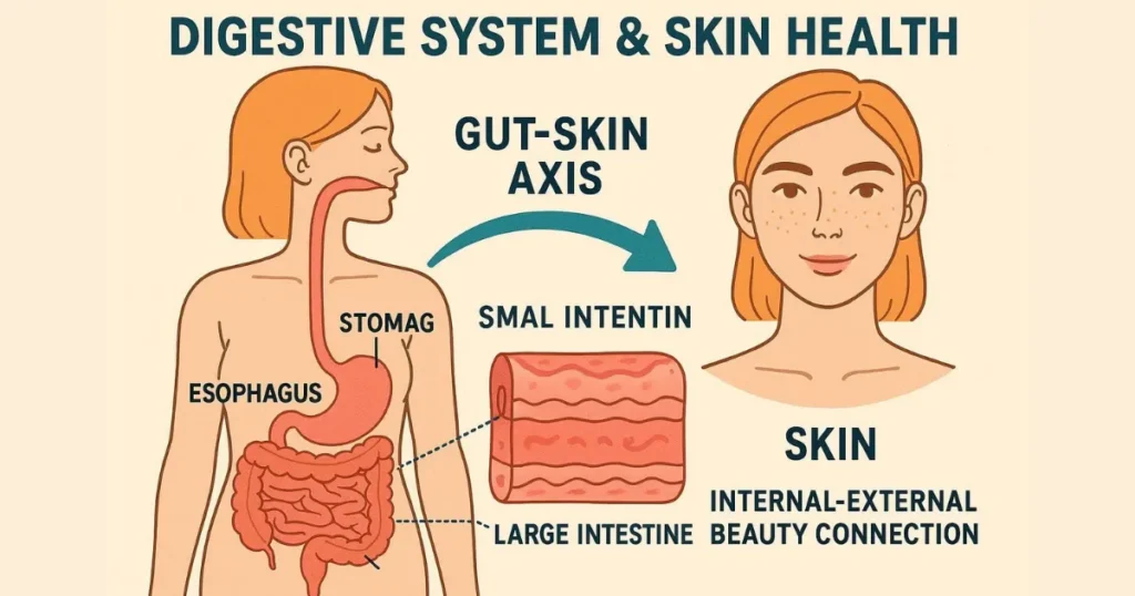 Isabgol Benefits for Skin: Gut-Skin Axis
