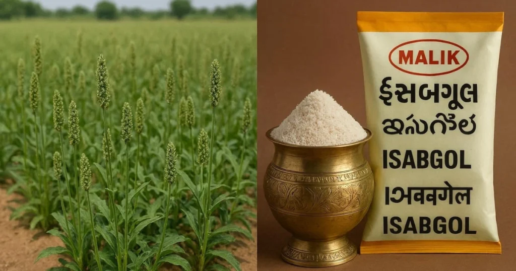 Psyllium Husk Indian Name