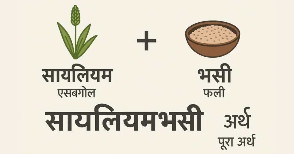 What Is Psyllium Husk in Hindi: Psyllium Husk Meaning in Hindi Explained