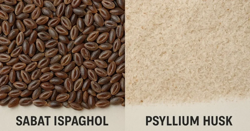 Sabat Ispaghol Benefits: What Is Sabat Ispaghol