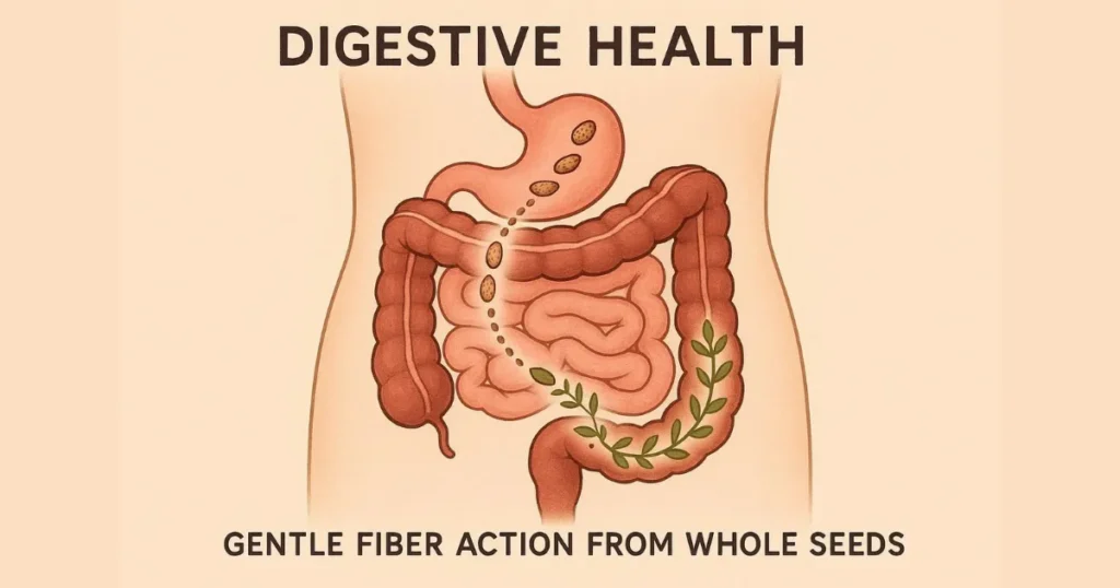 Sabat Ispaghol Benefits: Digestive Support