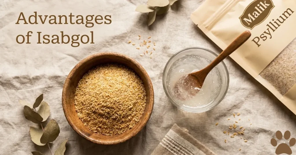 Advantages of Isabgol