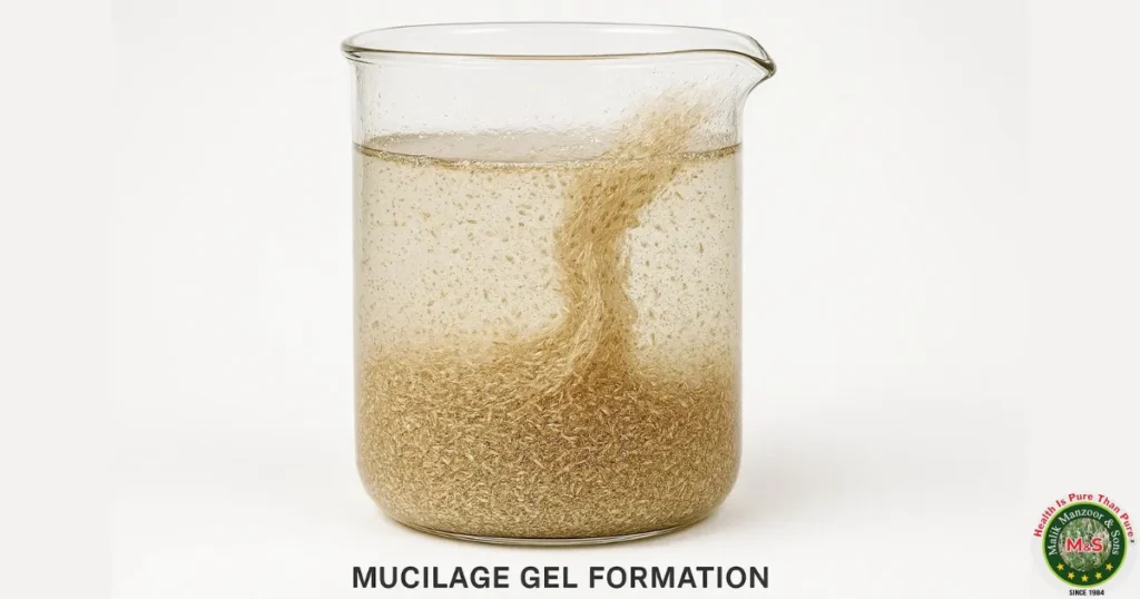 Isabgol Benefits in Urdu: Isabgol Kya Hai