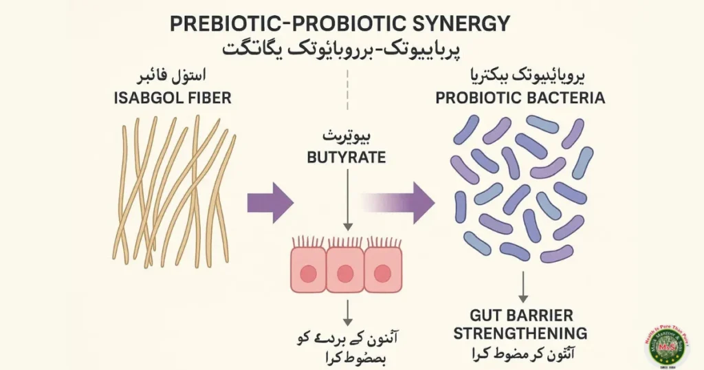 The Yogurt with Isabgol Benefits in Urdu