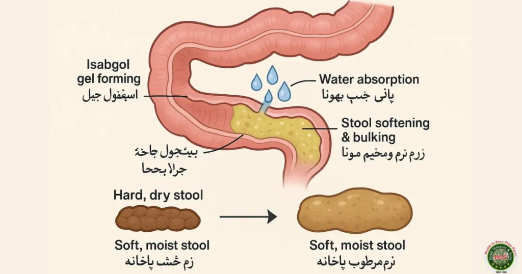 Yogurt with Isabgol Benefits in Urdu: Isabgol For Constipation In Urdu